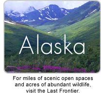 Alaska Cruises and Land Tours